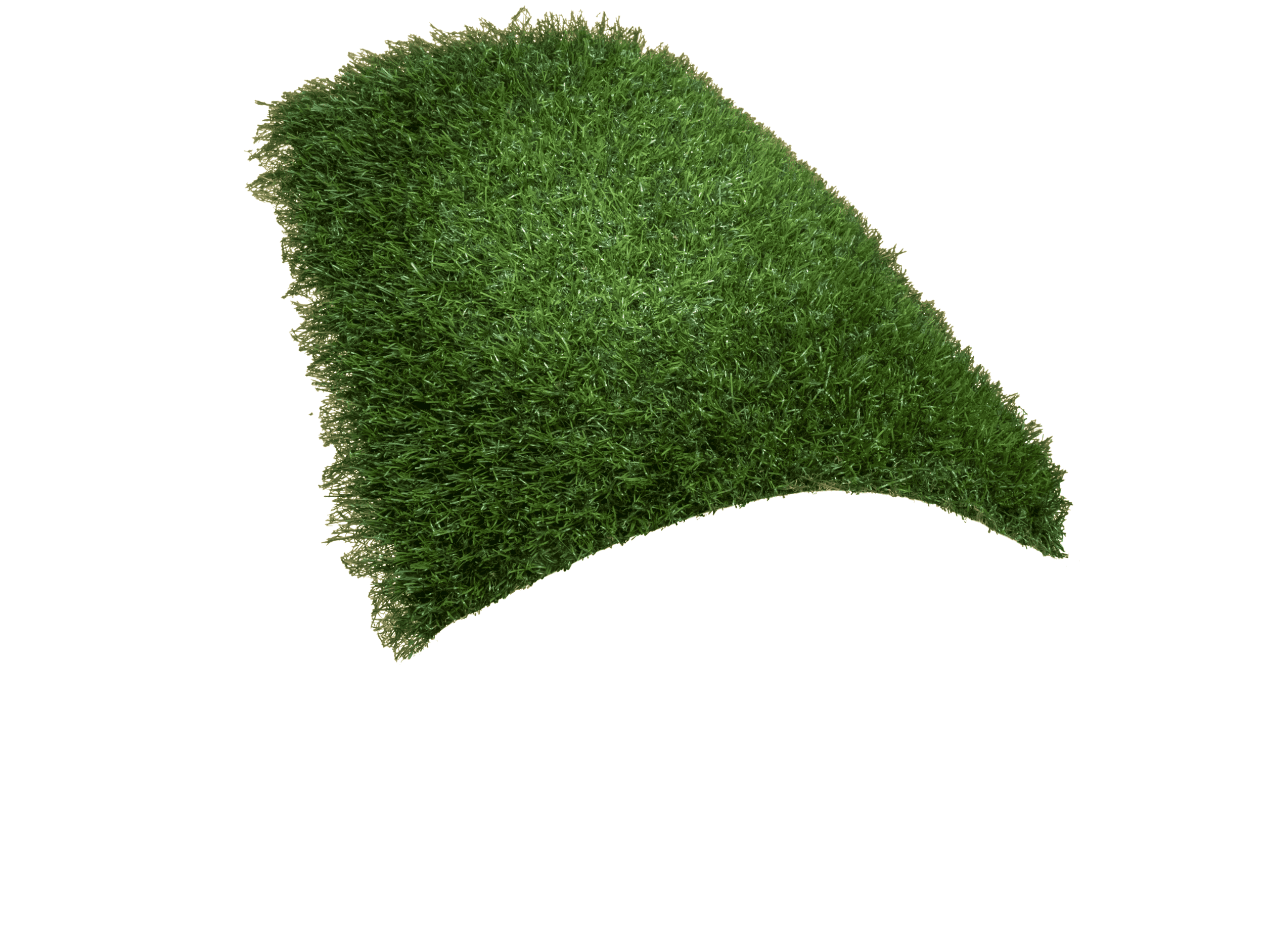 11-ITS 500 FOREST