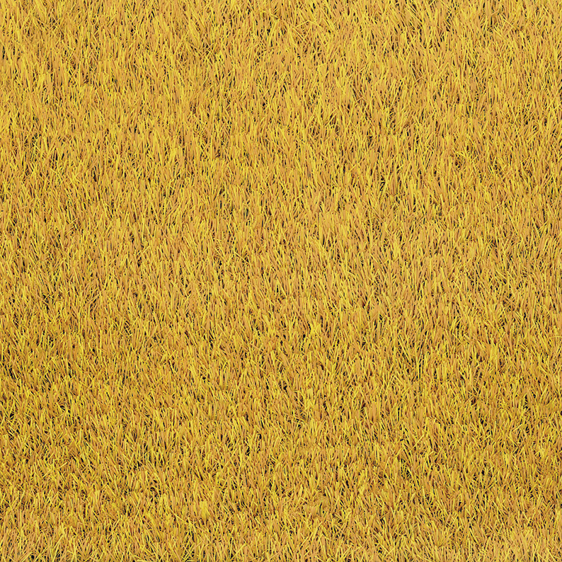 giallo